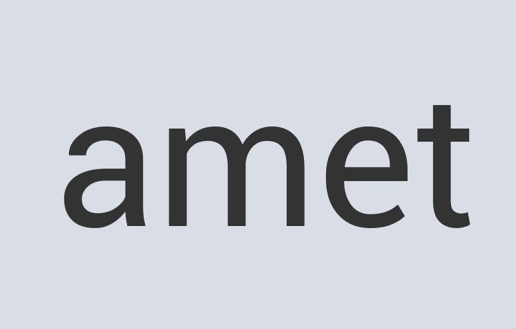 Aerodynamic Iron WiseGuide