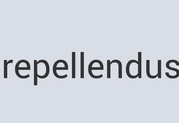 Enormous Concrete Koffee Kat